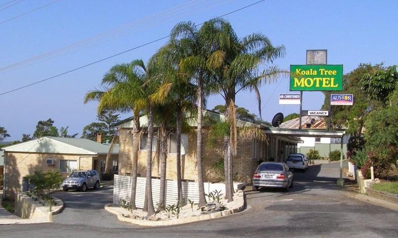 Koala Tree Motel Port Macquarie Eksteriør billede